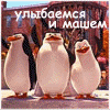 PiNgViN